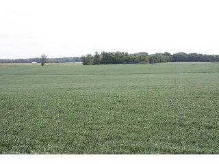 Property photo 60 - LAND AUCTION - 1,193+/- ACRES IN 14 TRACTS IN PIKE & GIBSON COUNTY, INDIANA